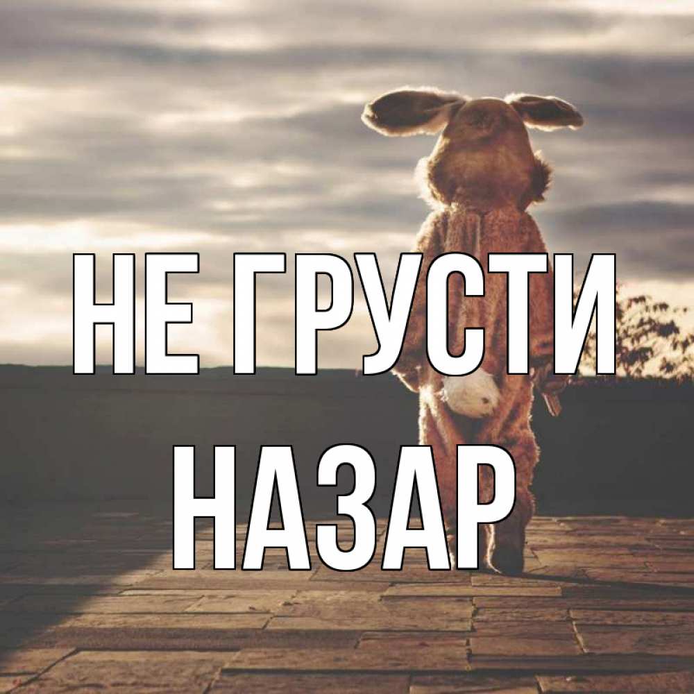 Открытка на каждый день с именем, Назар Не грусти со спины Прикольная открытка с пожеланием онлайн скачать бесплатно 
