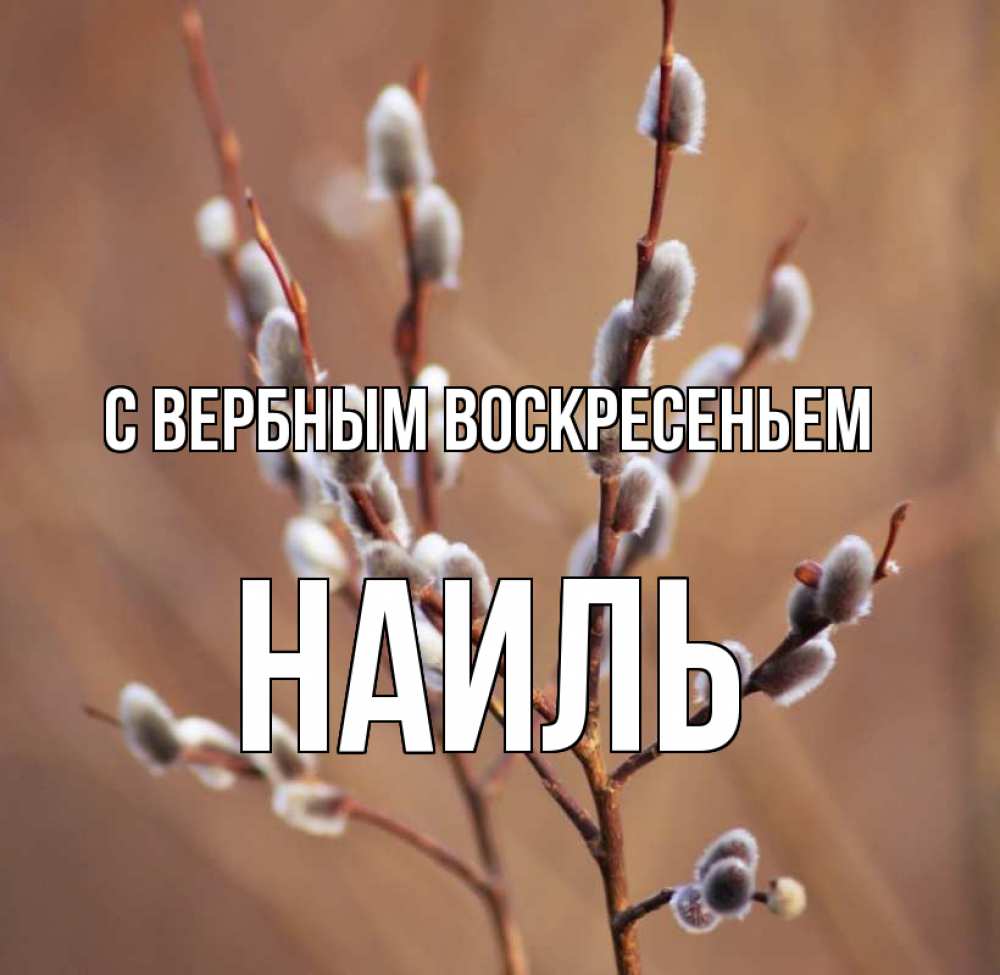 Открытка на каждый день с именем, Наиль С вербным воскресеньем верба Прикольная открытка с пожеланием онлайн скачать бесплатно 