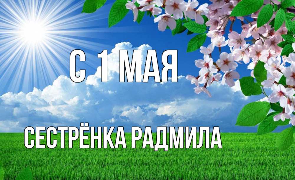 Открытка на каждый день с именем, Сестрёнка-Радмила С 1 мая С 1 мая Прикольная открытка с пожеланием онлайн скачать бесплатно 