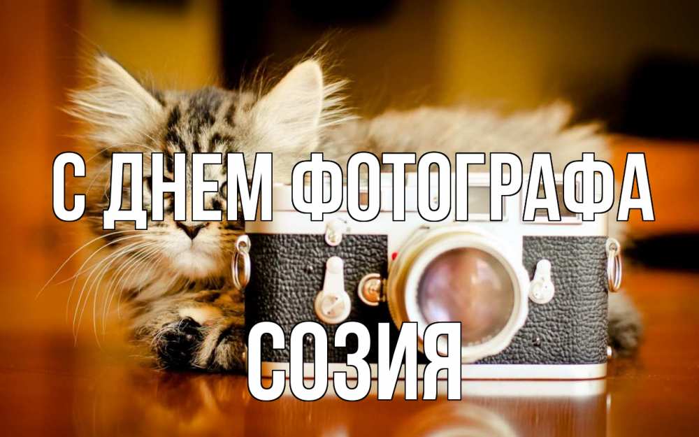 Открытка на каждый день с именем, Созия С днем фотографа с днем фотографа Прикольная открытка с пожеланием онлайн скачать бесплатно 