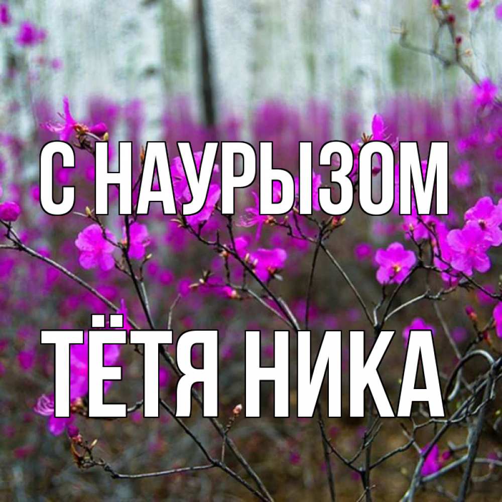 Открытка на каждый день с именем, Тётя-Ника С наурызом дикие цветы Прикольная открытка с пожеланием онлайн скачать бесплатно 