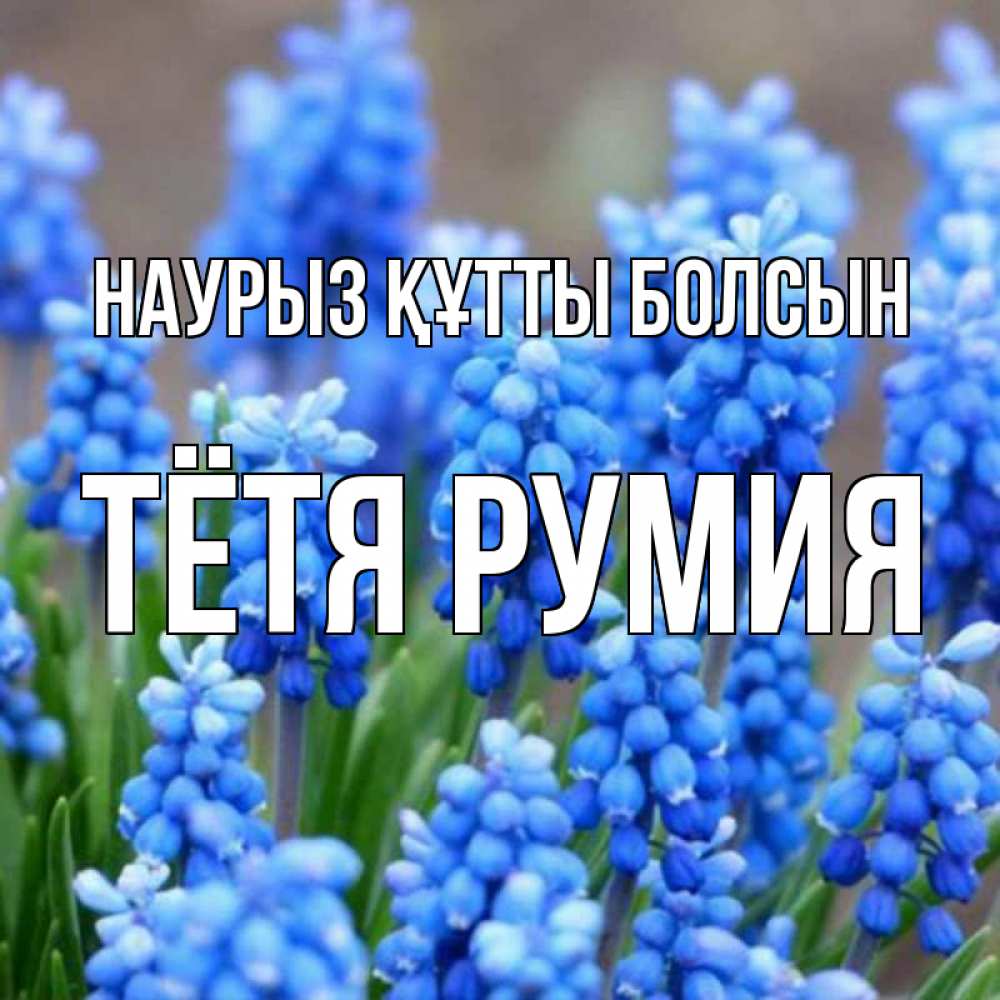Открытка на каждый день с именем, Тётя-Румия Наурыз құтты болсын Поздравительная открытка для женщин с цветами на праздничную дату Прикольная открытка с пожеланием онлайн скачать бесплатно 