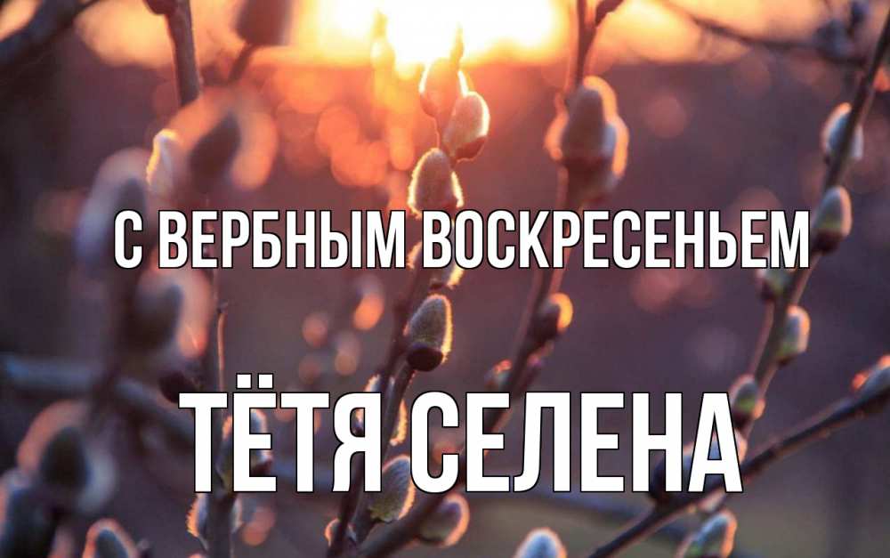 Открытка на каждый день с именем, Тётя-Селена С вербным воскресеньем верба Прикольная открытка с пожеланием онлайн скачать бесплатно 