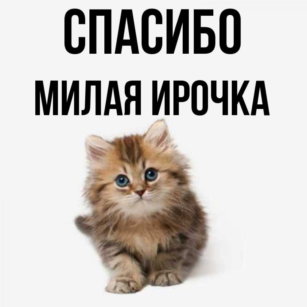 Ирочка милашка картинки