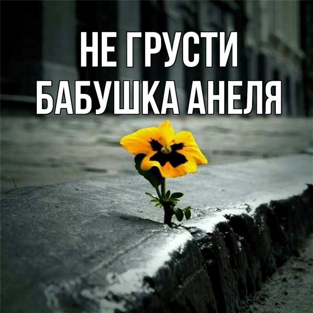 Открытка на каждый день с именем, Бабушка-Анеля Не грусти не сдавайся Прикольная открытка с пожеланием онлайн скачать бесплатно 