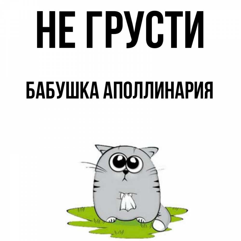 Открытка на каждый день с именем, Бабушка-Аполлинария Не грусти грустный котяра Прикольная открытка с пожеланием онлайн скачать бесплатно 
