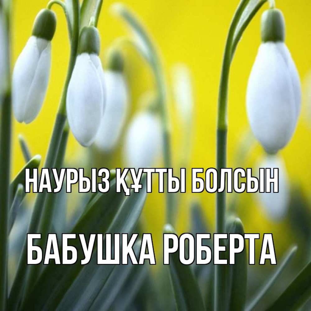 Открытка на каждый день с именем, Бабушка-Роберта Наурыз құтты болсын весенние цветы Прикольная открытка с пожеланием онлайн скачать бесплатно 