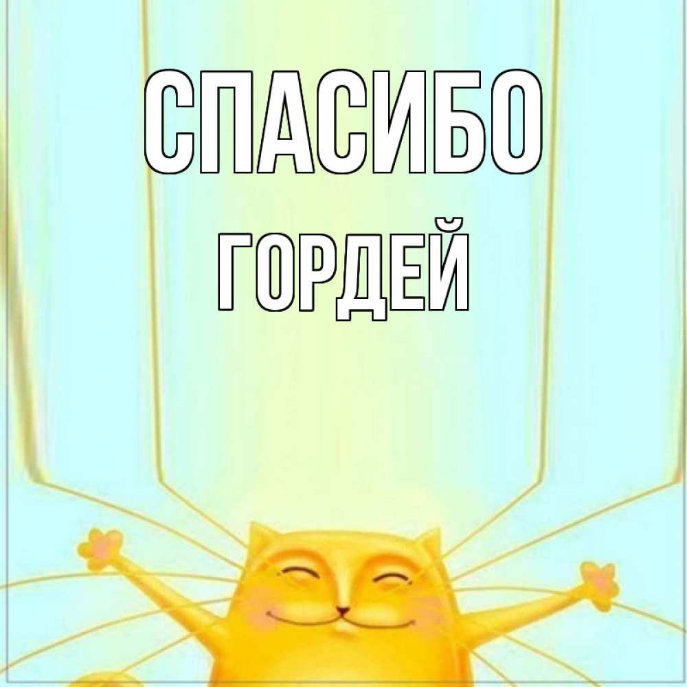Открытка на каждый день с именем, Гордей Спасибо кот с усами благодарит Прикольная открытка с пожеланием онлайн скачать бесплатно 