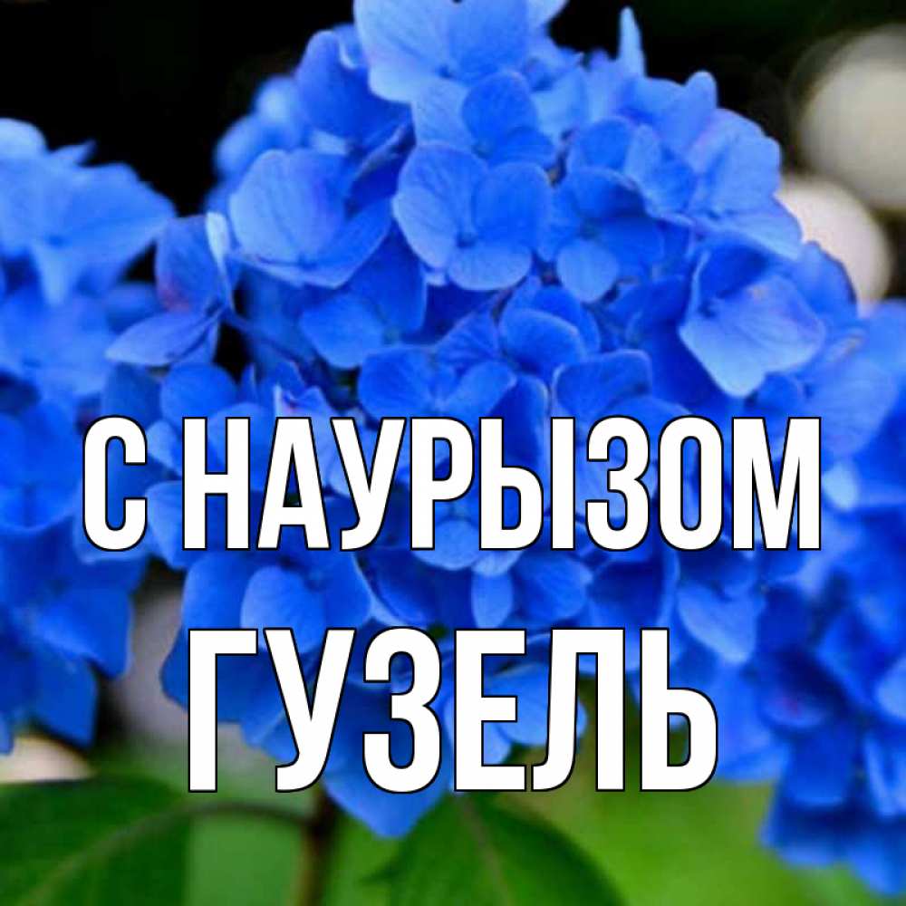 Открытка на каждый день с именем, Гузель С наурызом синие цветы Прикольная открытка с пожеланием онлайн скачать бесплатно 