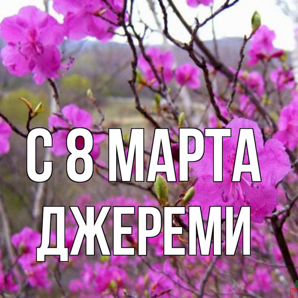 Открытка на каждый день с именем, Джереми С 8 марта международный женский день Прикольная открытка с пожеланием онлайн скачать бесплатно 
