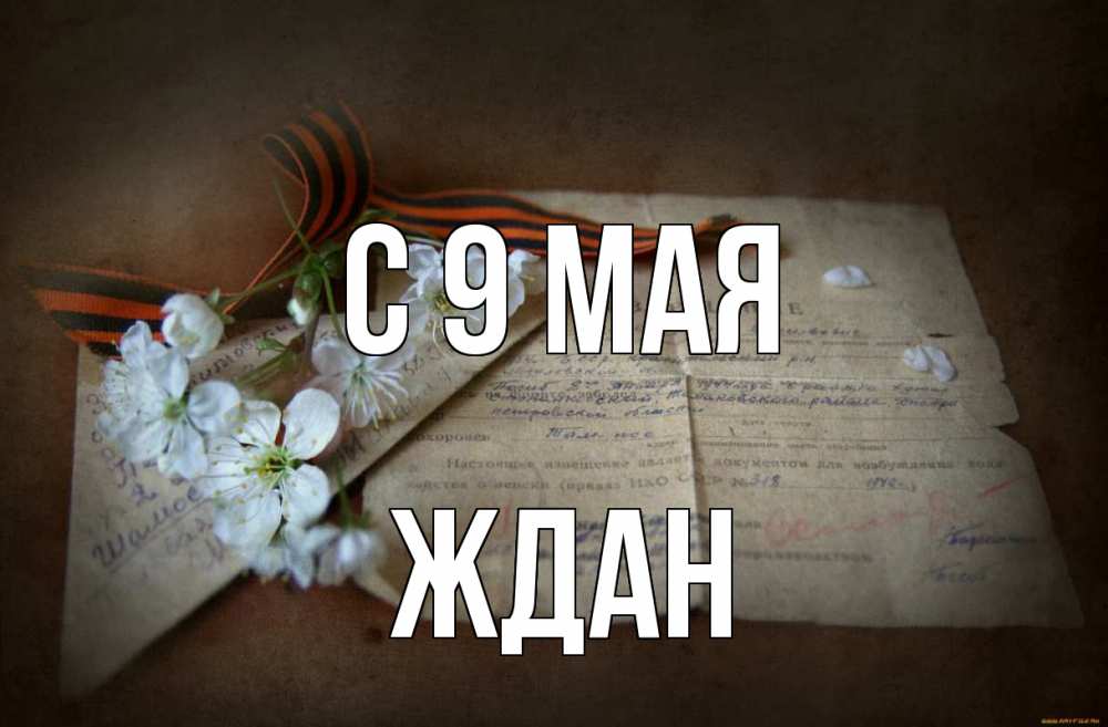 Открытка на каждый день с именем, Ждан С 9 мая 9 мая Прикольная открытка с пожеланием онлайн скачать бесплатно 