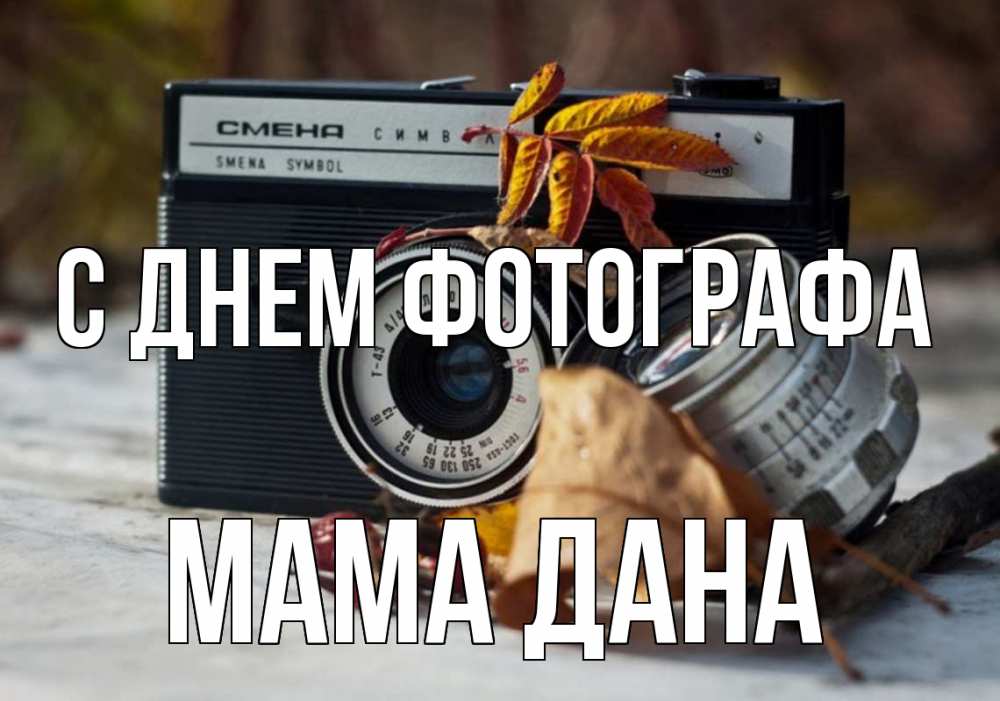 Открытка на каждый день с именем, Мама-Дана С днем фотографа с днем фотографа Прикольная открытка с пожеланием онлайн скачать бесплатно 