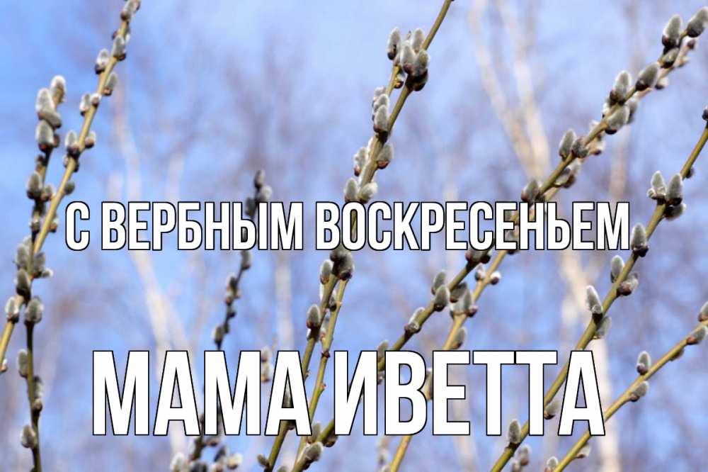 Открытка на каждый день с именем, Мама-Иветта С вербным воскресеньем верба Прикольная открытка с пожеланием онлайн скачать бесплатно 