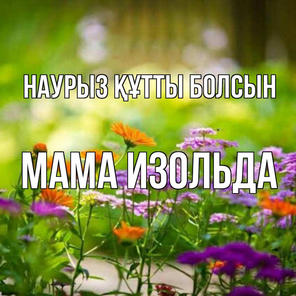 Открытка на каждый день с именем, Мама-Изольда Наурыз құтты болсын цветы Прикольная открытка с пожеланием онлайн скачать бесплатно 