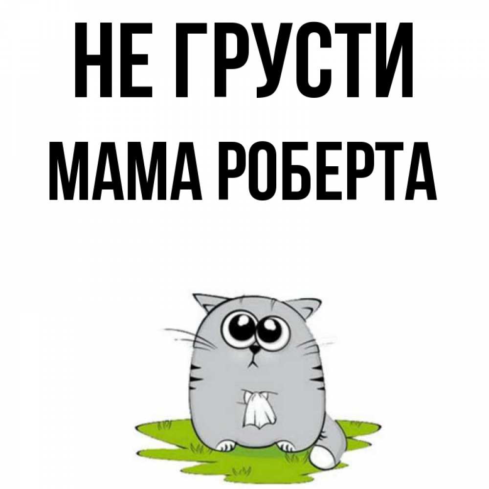 Открытка на каждый день с именем, Мама-Роберта Не грусти грустный котяра Прикольная открытка с пожеланием онлайн скачать бесплатно 