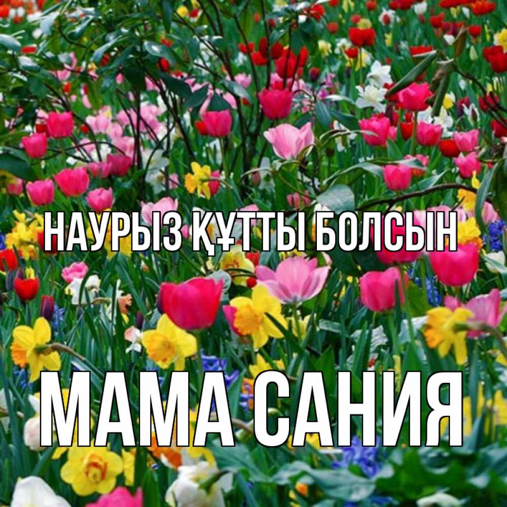 Открытка на каждый день с именем, Мама-Сания Наурыз құтты болсын с наурызом поздравления для женщины Прикольная открытка с пожеланием онлайн скачать бесплатно 
