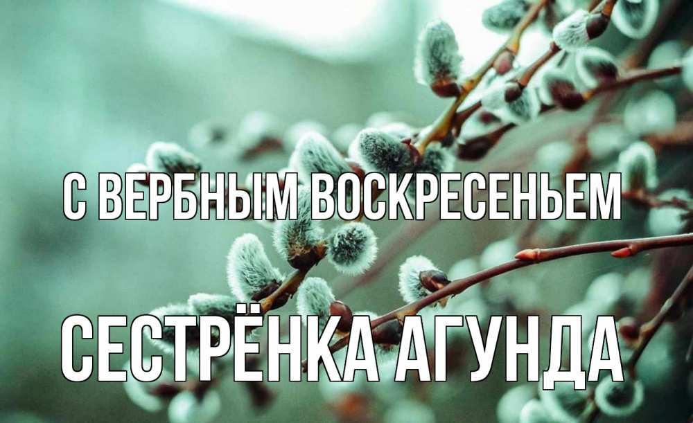 Открытка на каждый день с именем, Сестрёнка-Агунда С вербным воскресеньем верба Прикольная открытка с пожеланием онлайн скачать бесплатно 