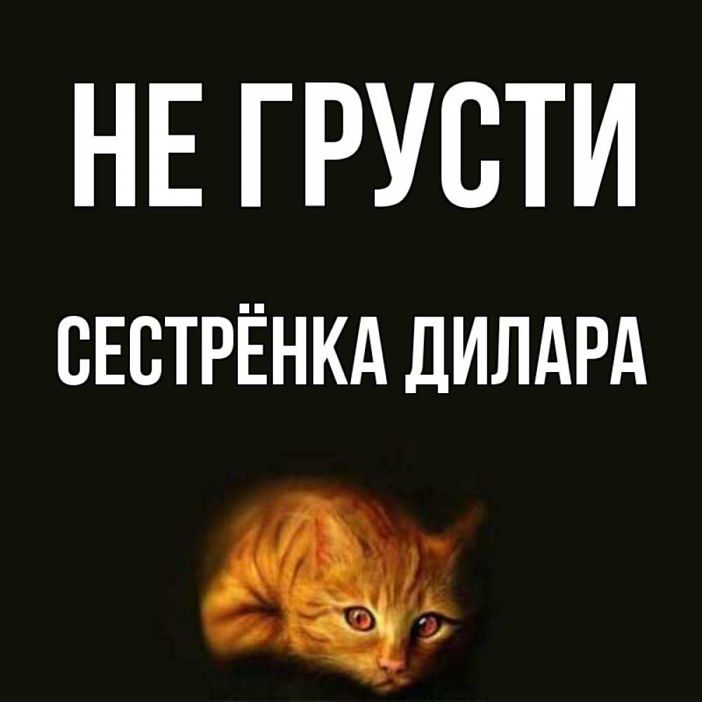 Открытка на каждый день с именем, Сестрёнка-Дилара Не грусти лежащий кот в темноте Прикольная открытка с пожеланием онлайн скачать бесплатно 