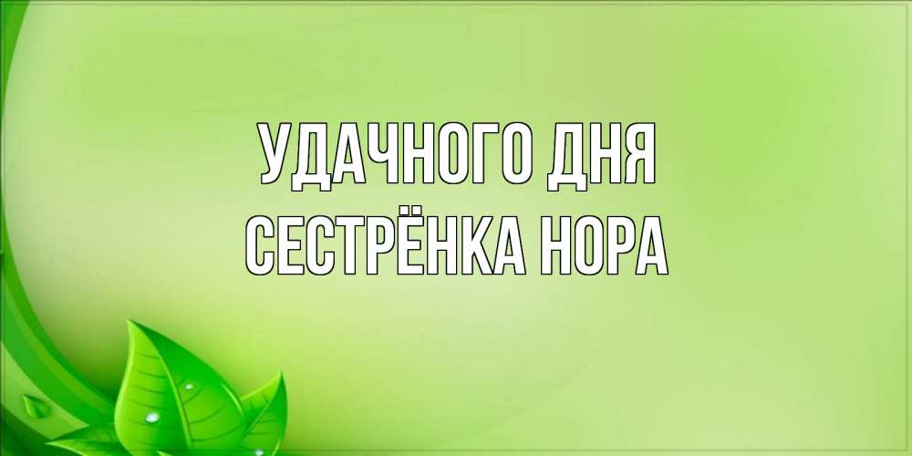 Открытка на каждый день с именем, Сестрёнка-Нора Удачного дня зеленая тема Прикольная открытка с пожеланием онлайн скачать бесплатно 