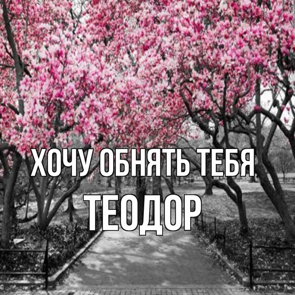 Открытка на каждый день с именем, Теодор Хочу обнять тебя обработанное фото Прикольная открытка с пожеланием онлайн скачать бесплатно 