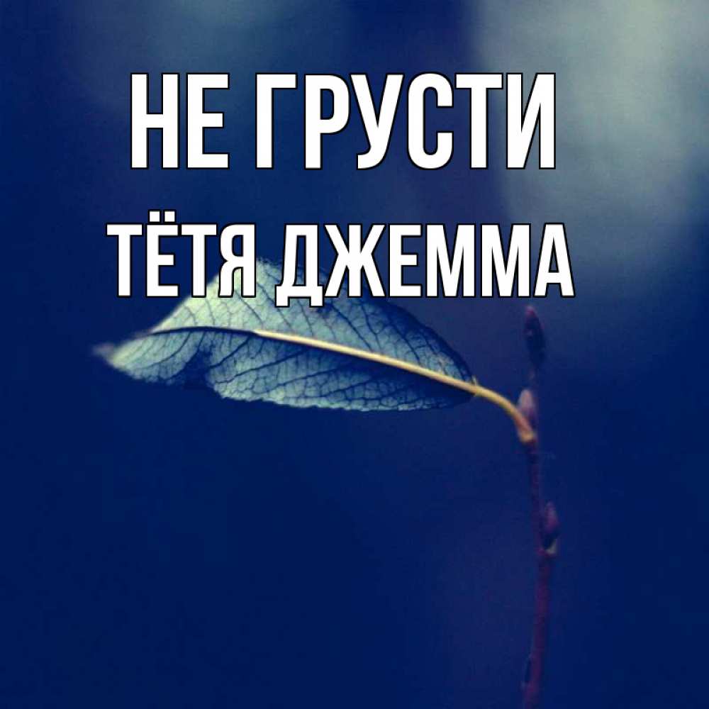 Открытка на каждый день с именем, Тётя-Джемма Не грусти растение Прикольная открытка с пожеланием онлайн скачать бесплатно 