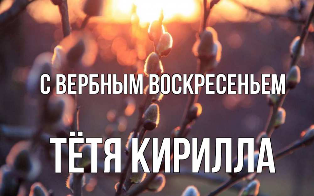 Открытка на каждый день с именем, Тётя-Кирилла С вербным воскресеньем верба Прикольная открытка с пожеланием онлайн скачать бесплатно 