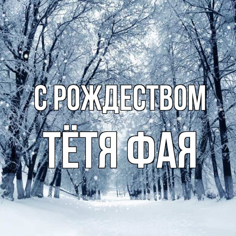 Открытка на каждый день с именем, Тётя-Фая С рождеством снег, лес, парк Прикольная открытка с пожеланием онлайн скачать бесплатно 