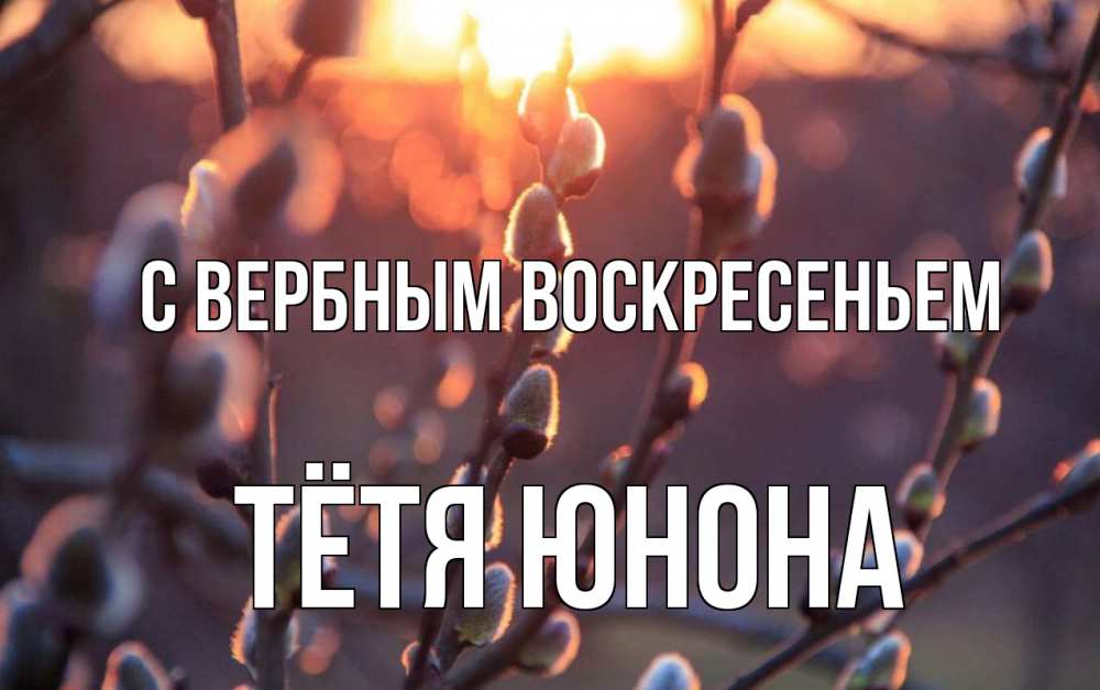 Открытка на каждый день с именем, Тётя-Юнона С вербным воскресеньем верба Прикольная открытка с пожеланием онлайн скачать бесплатно 