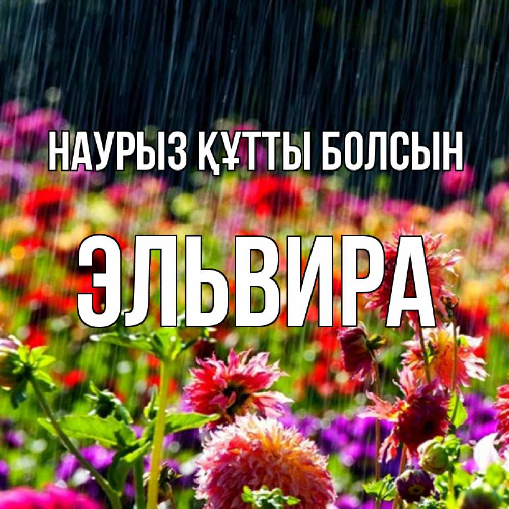 Открытка на каждый день с именем, Эльвира Наурыз құтты болсын цветы под дождиком к наурызу Прикольная открытка с пожеланием онлайн скачать бесплатно 