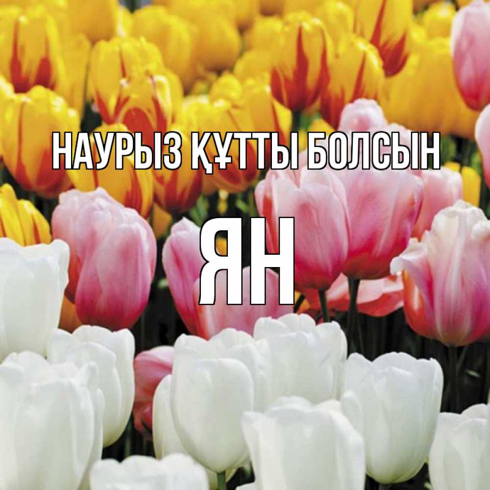 Открытка на каждый день с именем, Ян Наурыз құтты болсын разноцветные цветы Прикольная открытка с пожеланием онлайн скачать бесплатно 