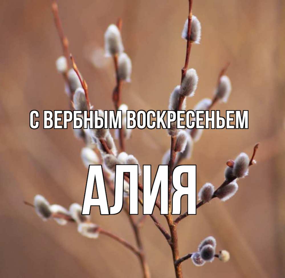 Открытка на каждый день с именем, Алия С вербным воскресеньем верба Прикольная открытка с пожеланием онлайн скачать бесплатно 