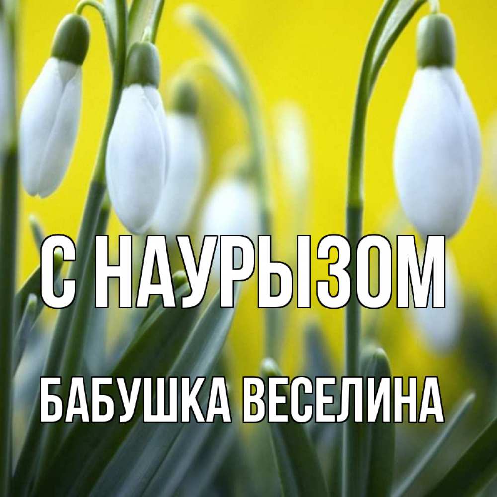 Открытка на каждый день с именем, Бабушка-Веселина С наурызом весенние цветы Прикольная открытка с пожеланием онлайн скачать бесплатно 