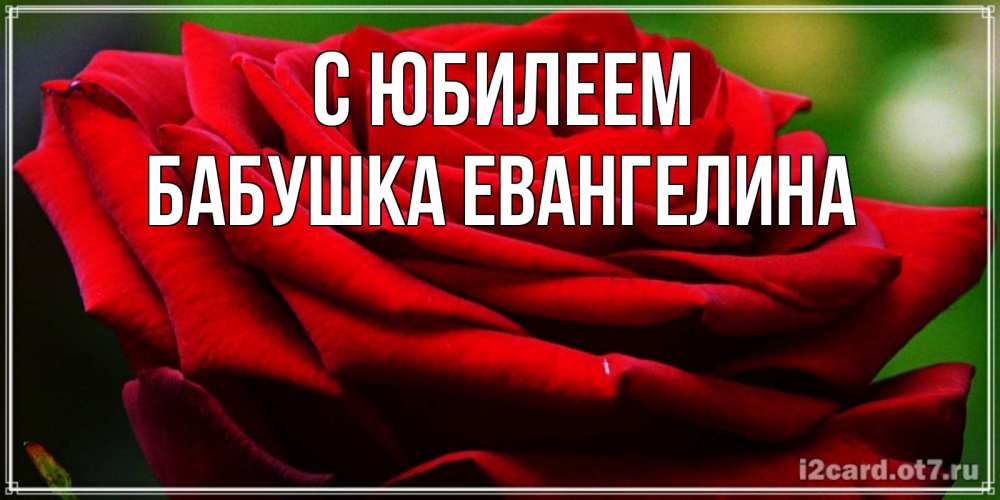 Открытка на каждый день с именем, Бабушка-Евангелина С юбилеем розочка очень красивая Прикольная открытка с пожеланием онлайн скачать бесплатно 