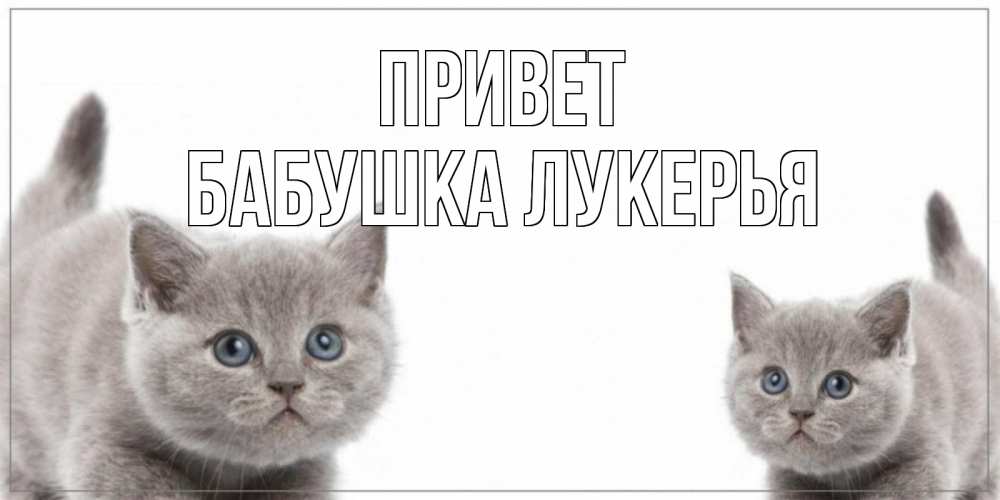 Открытка на каждый день с именем, Бабушка-Лукерья Привет коты Прикольная открытка с пожеланием онлайн скачать бесплатно 