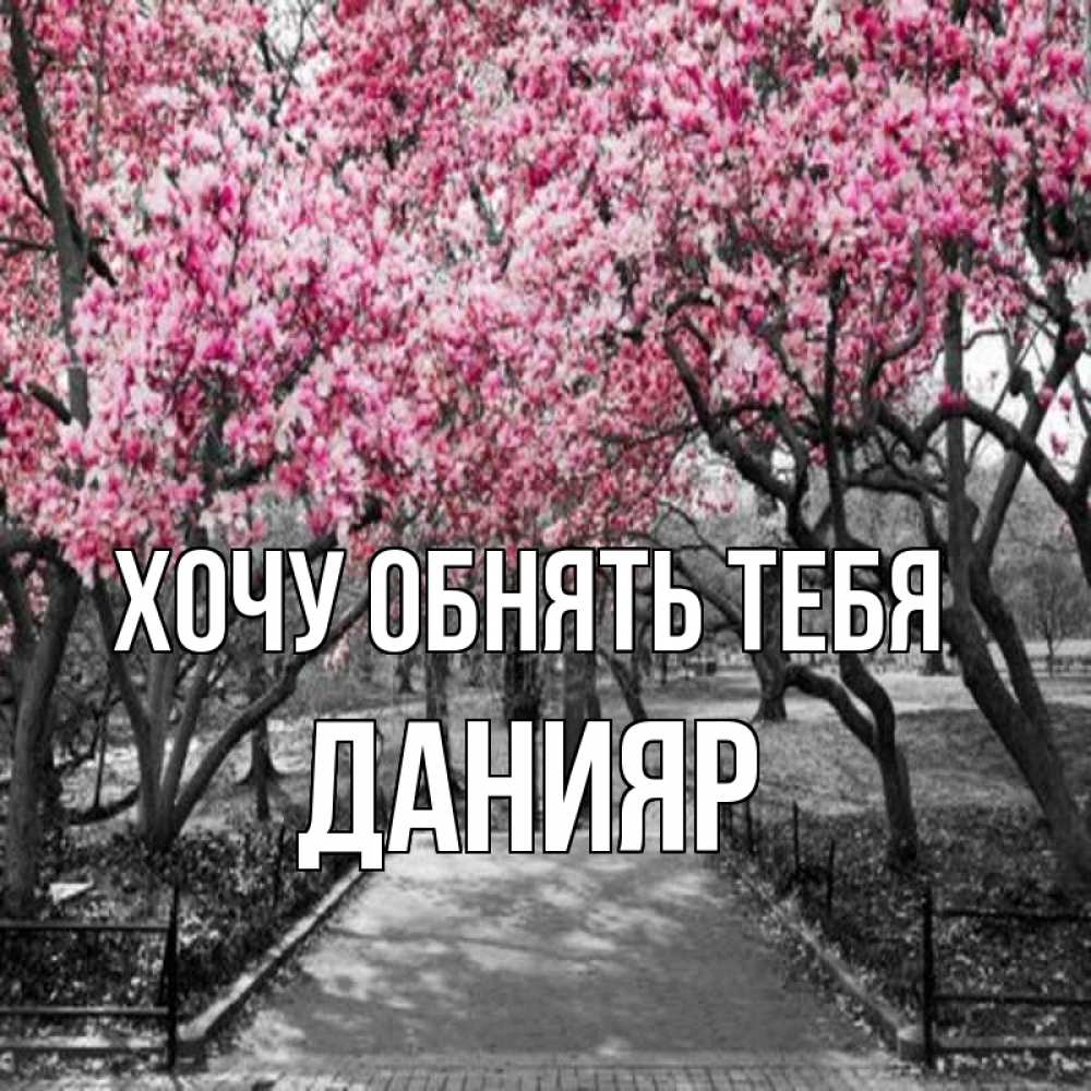 Открытка на каждый день с именем, Данияр Хочу обнять тебя обработанное фото Прикольная открытка с пожеланием онлайн скачать бесплатно 
