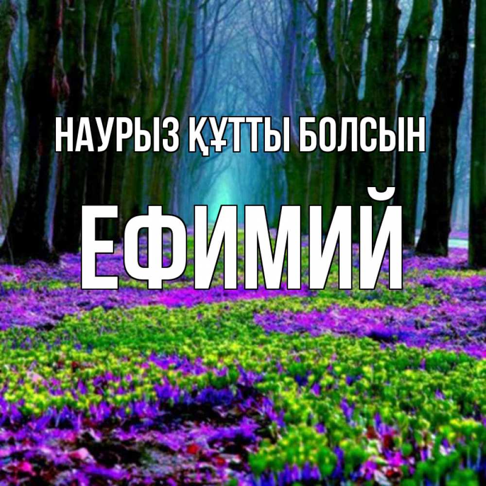 Открытка на каждый день с именем, Ефимий Наурыз құтты болсын фиолетовые цветы в лесу 1 Прикольная открытка с пожеланием онлайн скачать бесплатно 