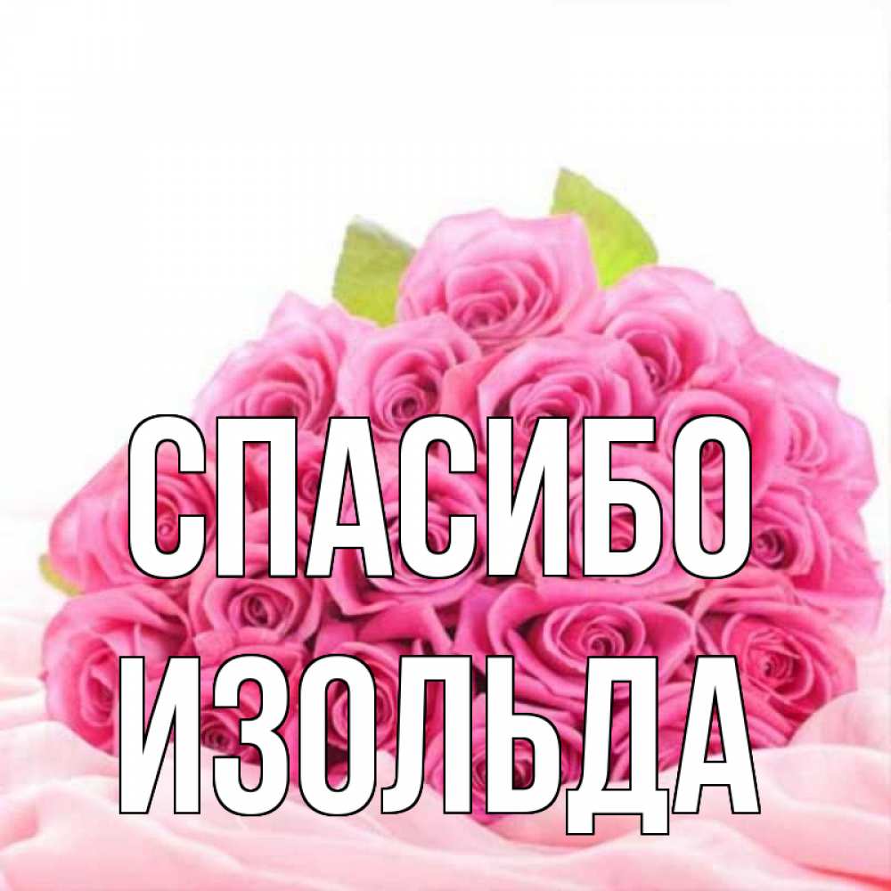 Открытка на каждый день с именем, Изольда Спасибо розовые розы с подписью Прикольная открытка с пожеланием онлайн скачать бесплатно 