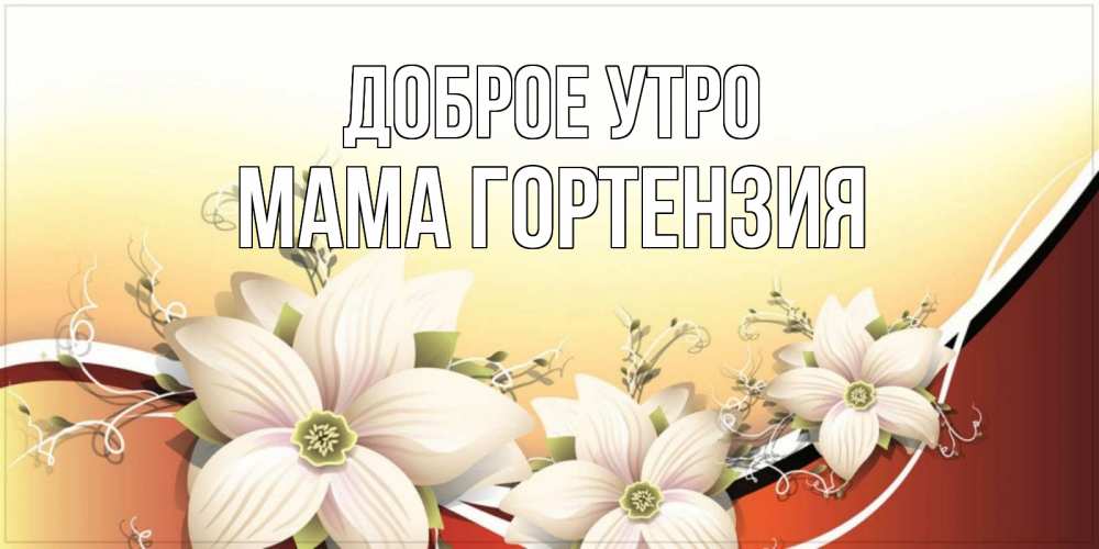 Открытка на каждый день с именем, Мама-Гортензия Доброе утро пожелания доброго утра Прикольная открытка с пожеланием онлайн скачать бесплатно 