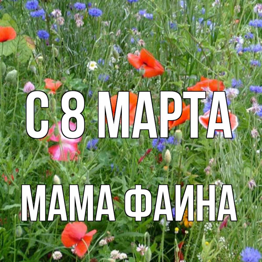 Открытка на каждый день с именем, Мама-Фаина С 8 МАРТА международный женский день 4 Прикольная открытка с пожеланием онлайн скачать бесплатно 