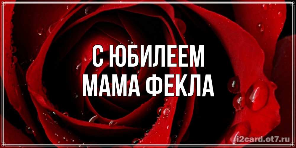 Открытка на каждый день с именем, Мама-Фекла С юбилеем крупная бордовая роза Прикольная открытка с пожеланием онлайн скачать бесплатно 