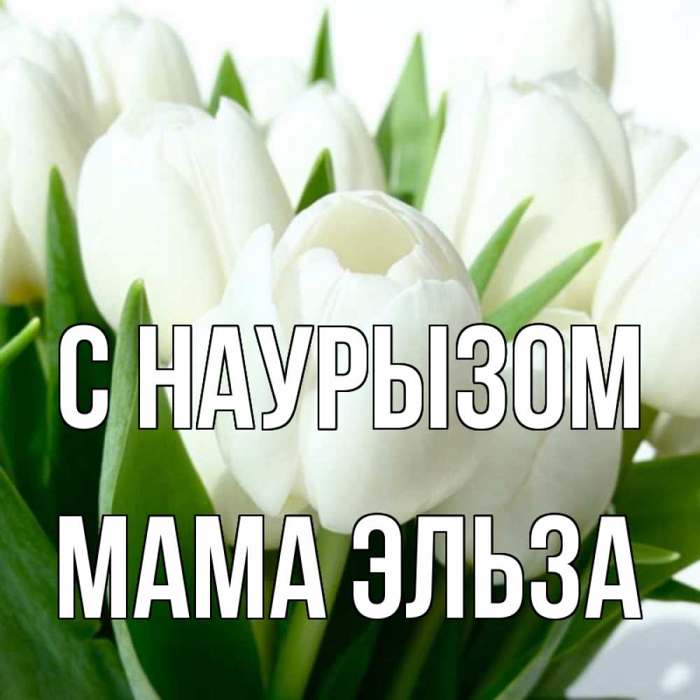 Открытка на каждый день с именем, Мама-Эльза С наурызом цветы Прикольная открытка с пожеланием онлайн скачать бесплатно 