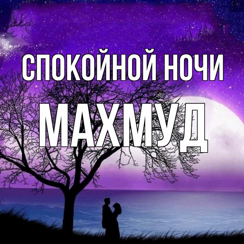 Открытка на каждый день с именем, Махмуд Спокойной ночи огромная луна и парочка Прикольная открытка с пожеланием онлайн скачать бесплатно 