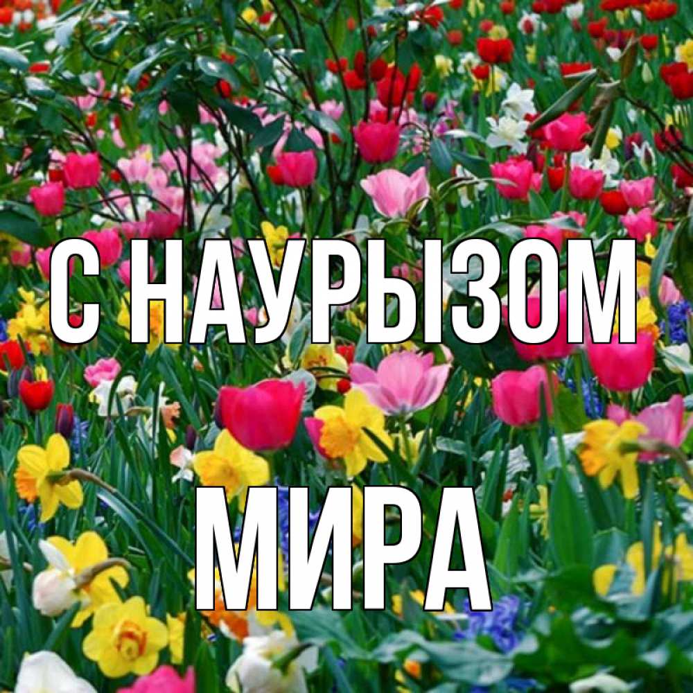 Открытка на каждый день с именем, Мира С наурызом с наурызом праздником весны поздравления для женщины Прикольная открытка с пожеланием онлайн скачать бесплатно 