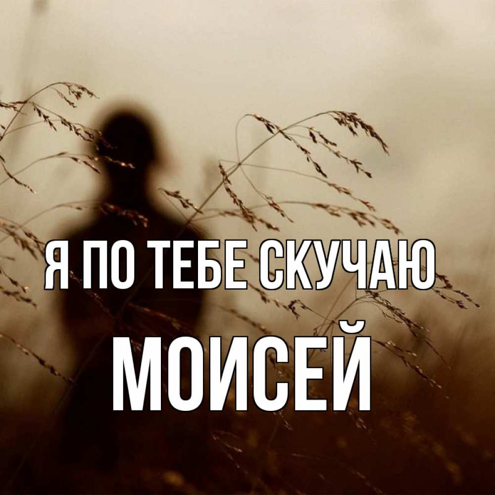 Открытка на каждый день с именем, Моисей Я по тебе скучаю силуэт девушки Прикольная открытка с пожеланием онлайн скачать бесплатно 