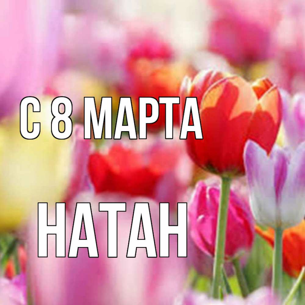 Открытка на каждый день с именем, Натан С 8 МАРТА на международный женский день 2 Прикольная открытка с пожеланием онлайн скачать бесплатно 