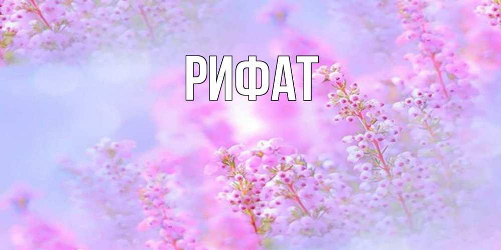 Открытка на каждый день с именем, Рифат Главная красивая открытка с мелкими цветами Прикольная открытка с пожеланием онлайн скачать бесплатно 