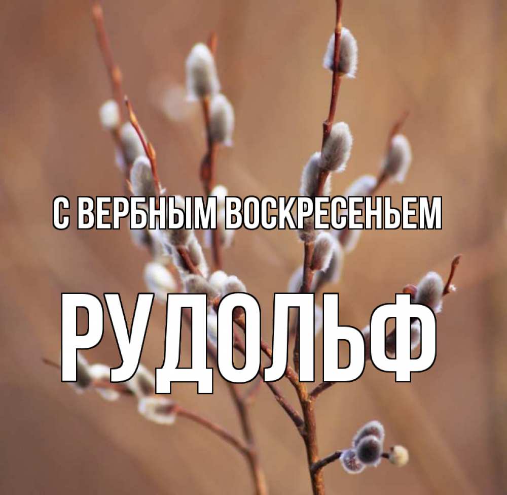 Открытка на каждый день с именем, Рудольф С вербным воскресеньем верба Прикольная открытка с пожеланием онлайн скачать бесплатно 