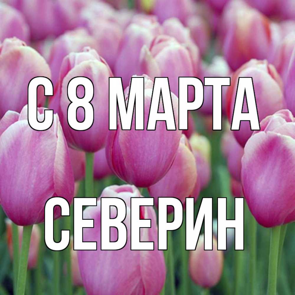 Открытка на каждый день с именем, Северин С 8 МАРТА на международный женский день 3 Прикольная открытка с пожеланием онлайн скачать бесплатно 