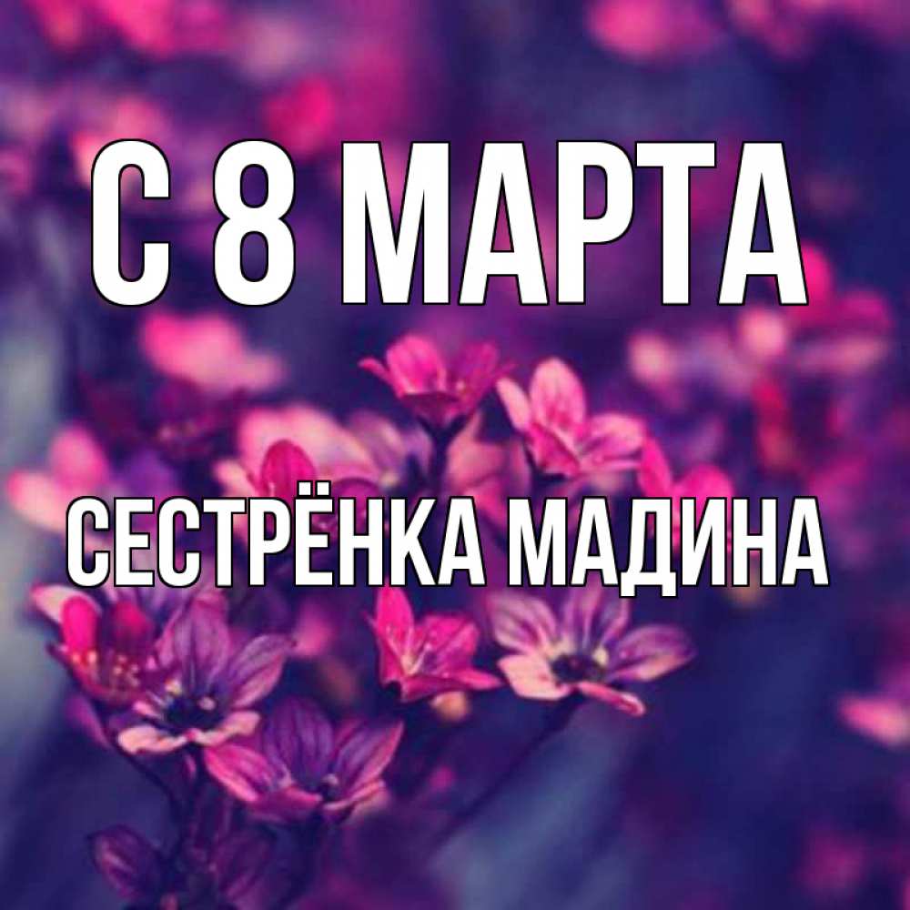 Открытка на каждый день с именем, Сестрёнка-Мадина С 8 МАРТА небольшие цветы 1 Прикольная открытка с пожеланием онлайн скачать бесплатно 