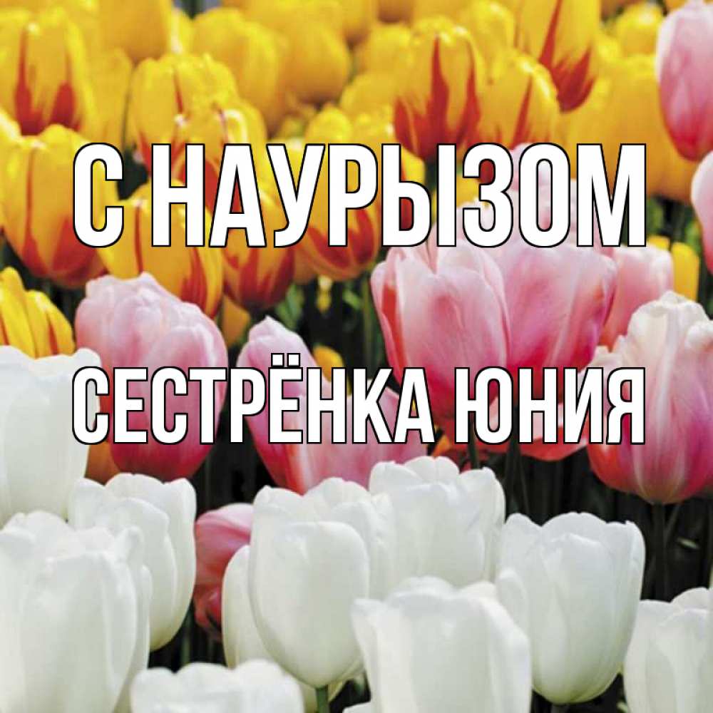 Открытка на каждый день с именем, Сестрёнка-Юния С наурызом разноцветные цветы Прикольная открытка с пожеланием онлайн скачать бесплатно 